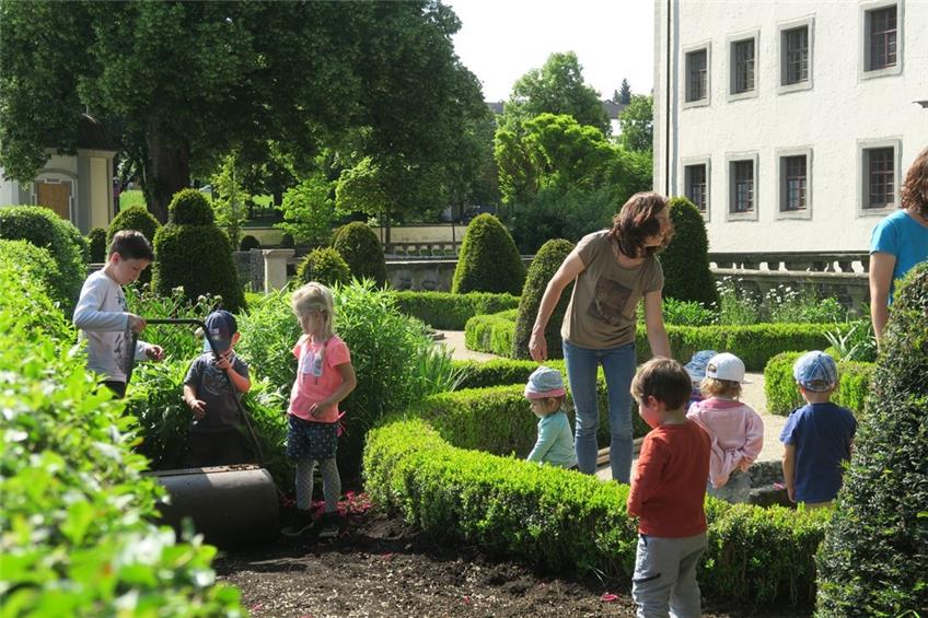 Krippenkinder säen Blumenwiese im Schlossgarten