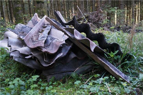 Abfall im Zollernalbkreis: Wilde Müllentsorgung nimmt zu und oft landet Falsches in der Biotonne
